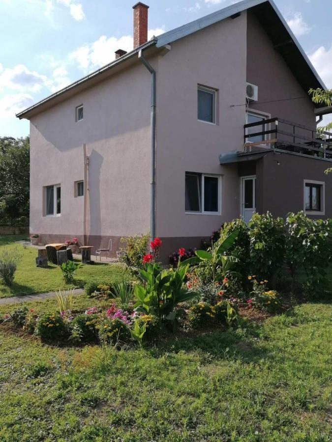 Apartmani Vidikovac Golubac Extérieur photo