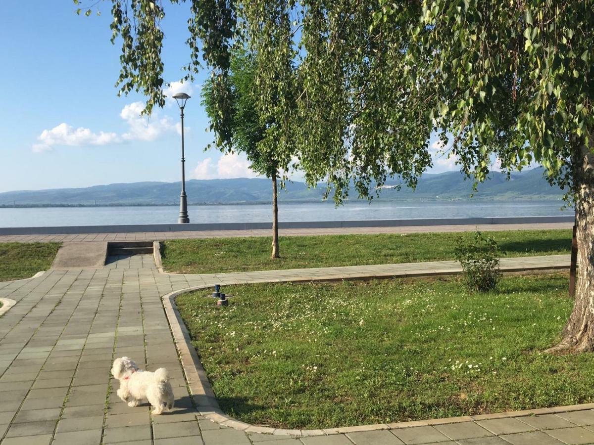 Apartmani Vidikovac Golubac Extérieur photo